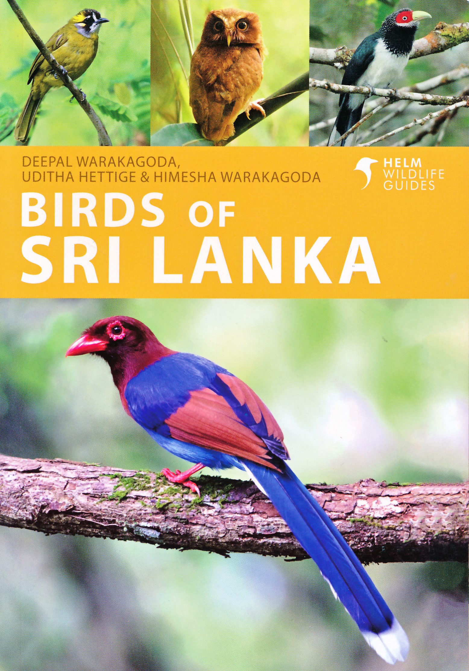 Online bestellen: Vogelgids Birds of Sri Lanka | Helm