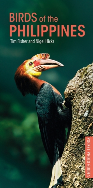 Online bestellen: Vogelgids Pocket Photo Guide Birds of the Philippines | Bloomsbury