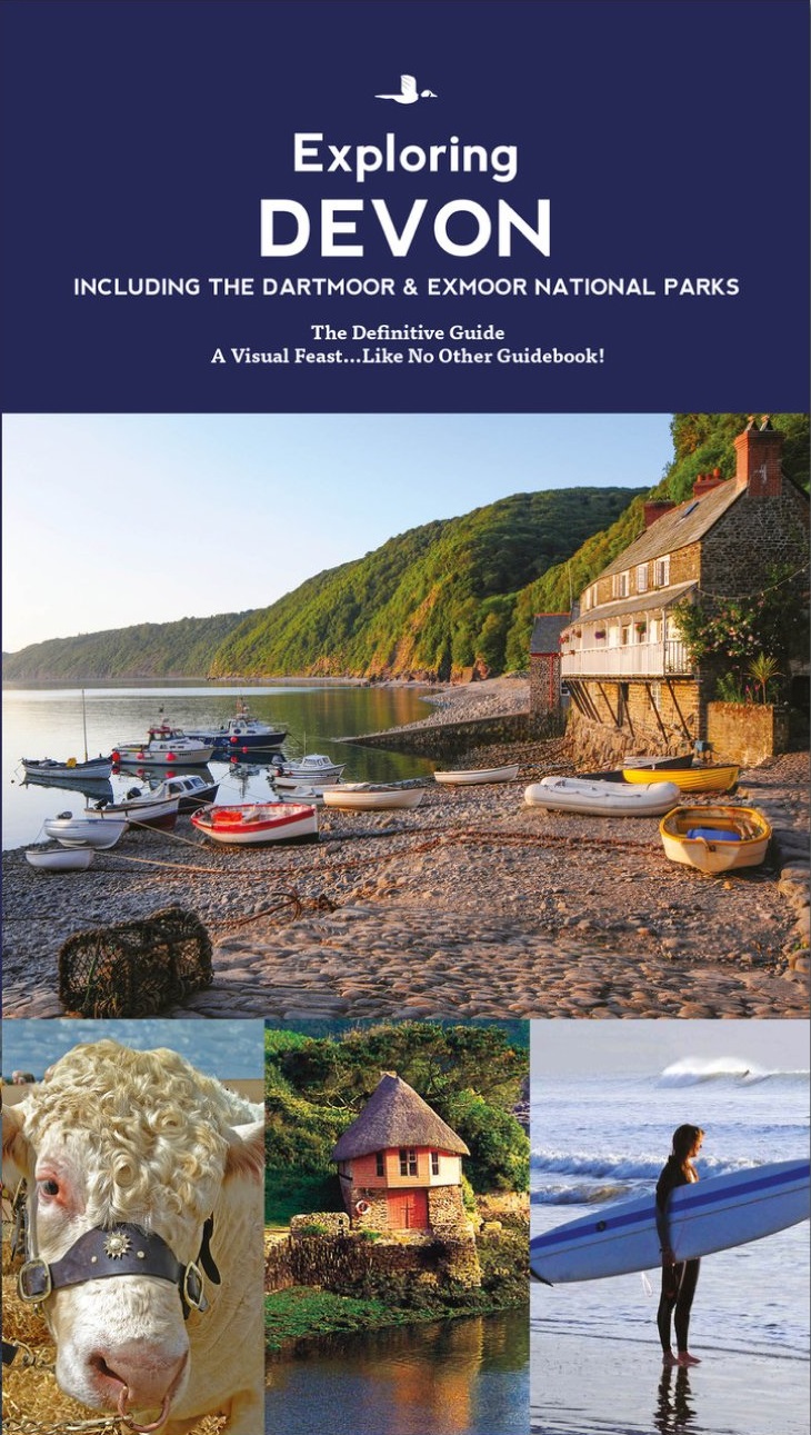 Online bestellen: Reisgids Devon Guide Book | Goldeneye