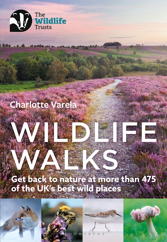 Online bestellen: Wandelgids Wildlife Walks | Bloomsbury
