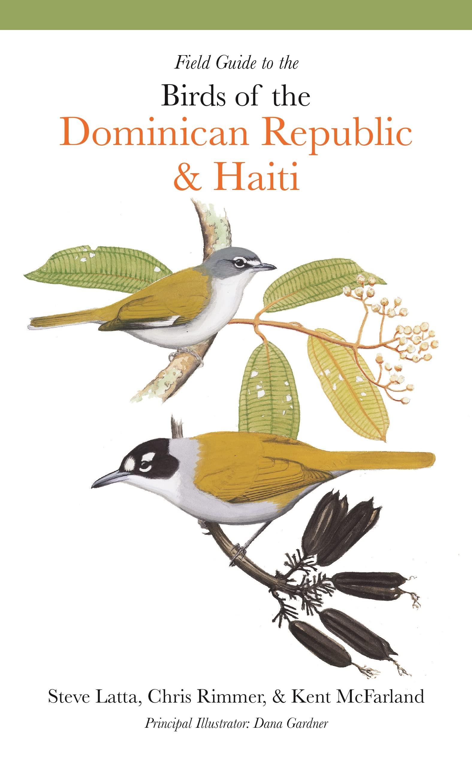 Online bestellen: Vogelgids Field Guide to the Birds of the Dominican Republic and Haiti | Princeton University