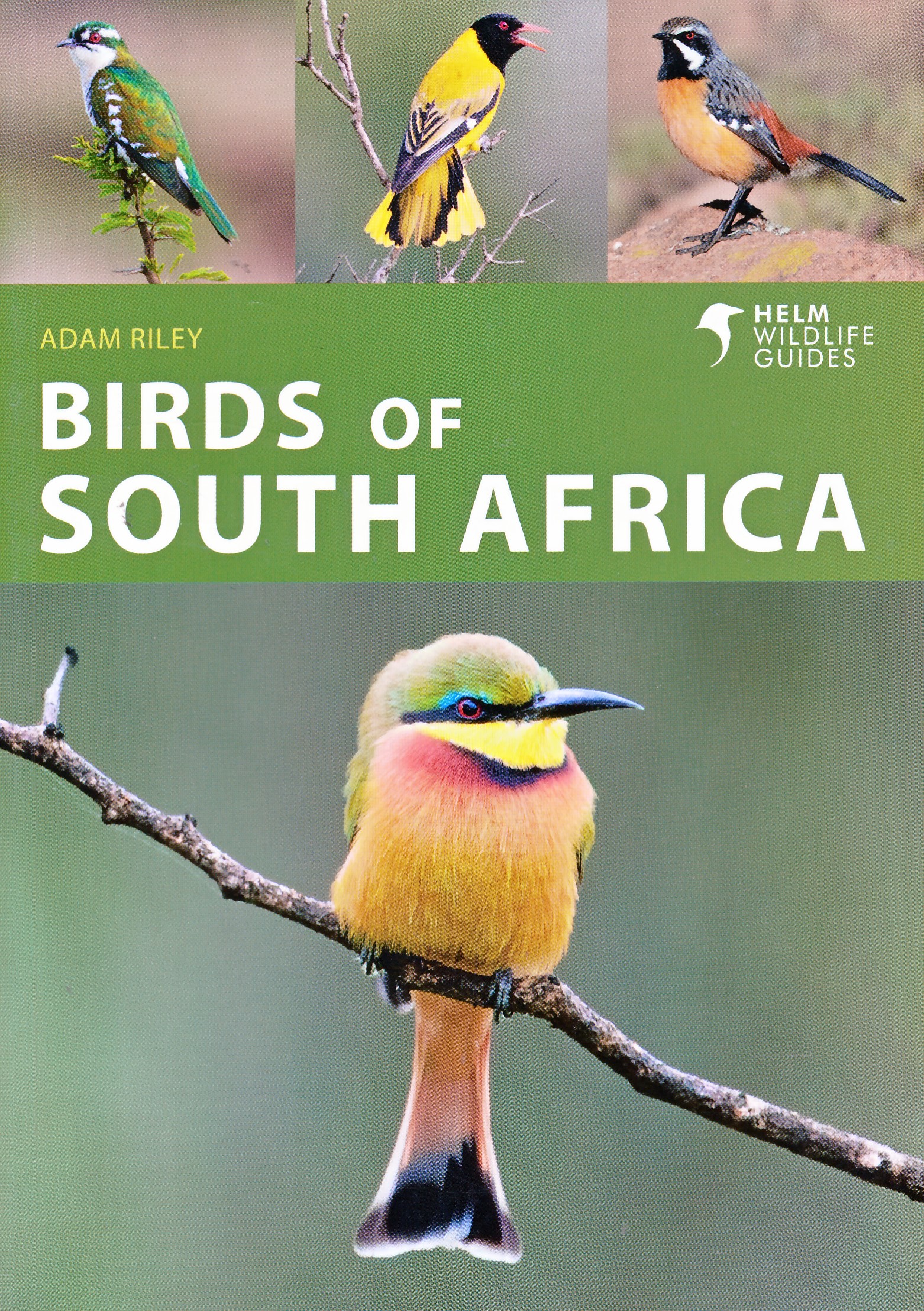Online bestellen: Vogelgids Birds of South Africa - Zuid Afrika | Helm