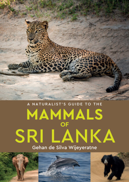 Online bestellen: Natuurgids a Naturalist's guide to the Mammals of Sri Lanka | John Beaufoy