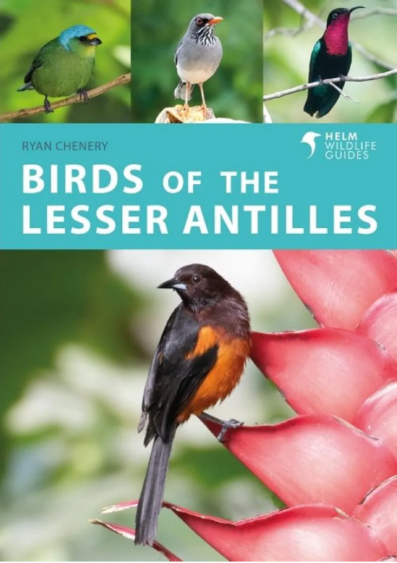 Online bestellen: Vogelgids Birds of the Lesser Antilles | Helm