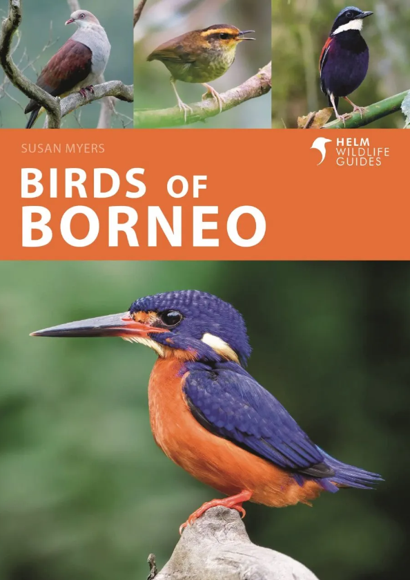 Online bestellen: Vogelgids Birds of Borneo | Helm