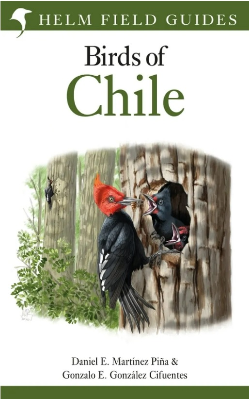 Online bestellen: Vogelgids Birds of Chile - Chili | Bloomsbury