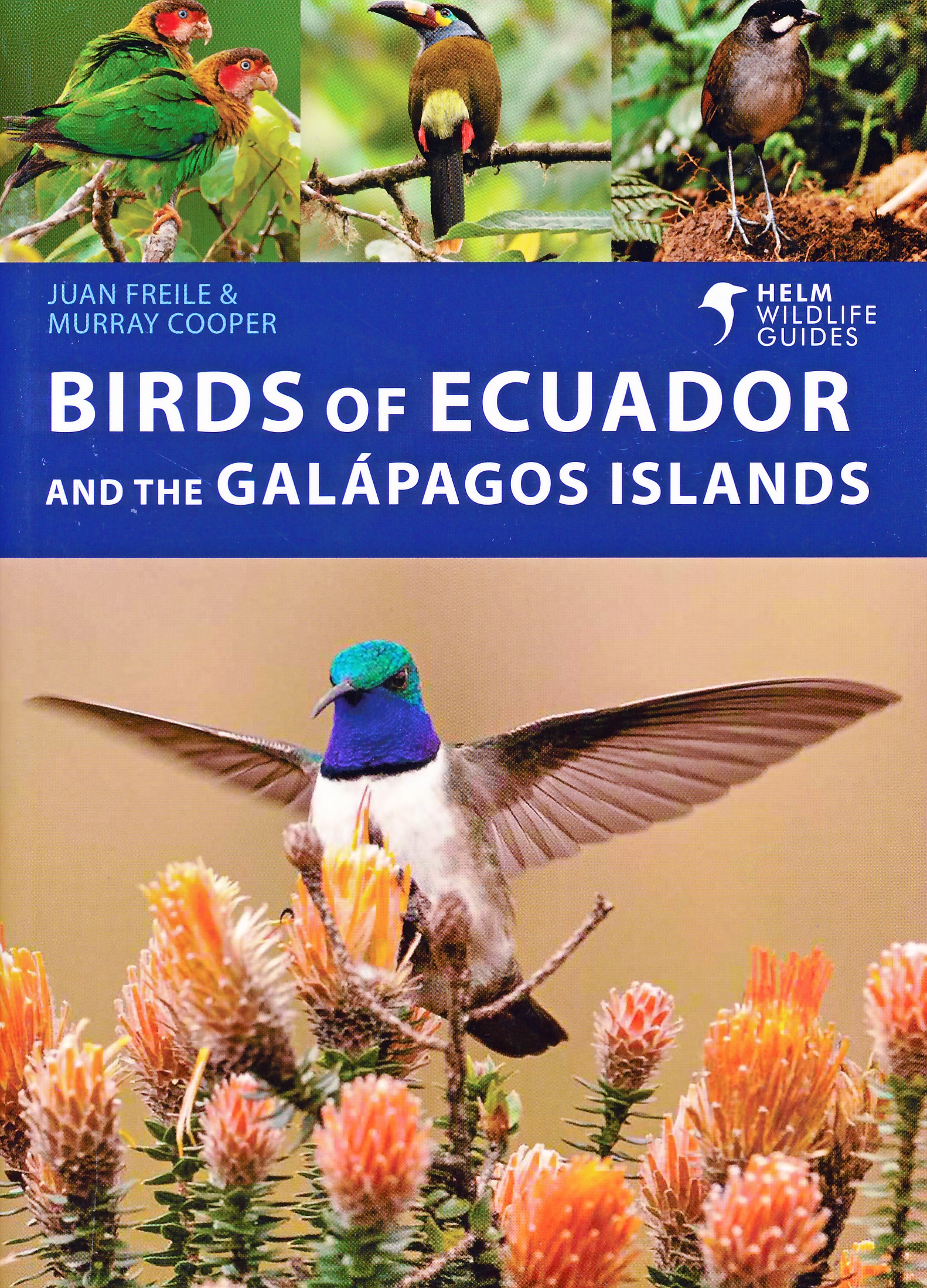 Online bestellen: Vogelgids Birds of Ecuador and the Galápagos Islands | Helm