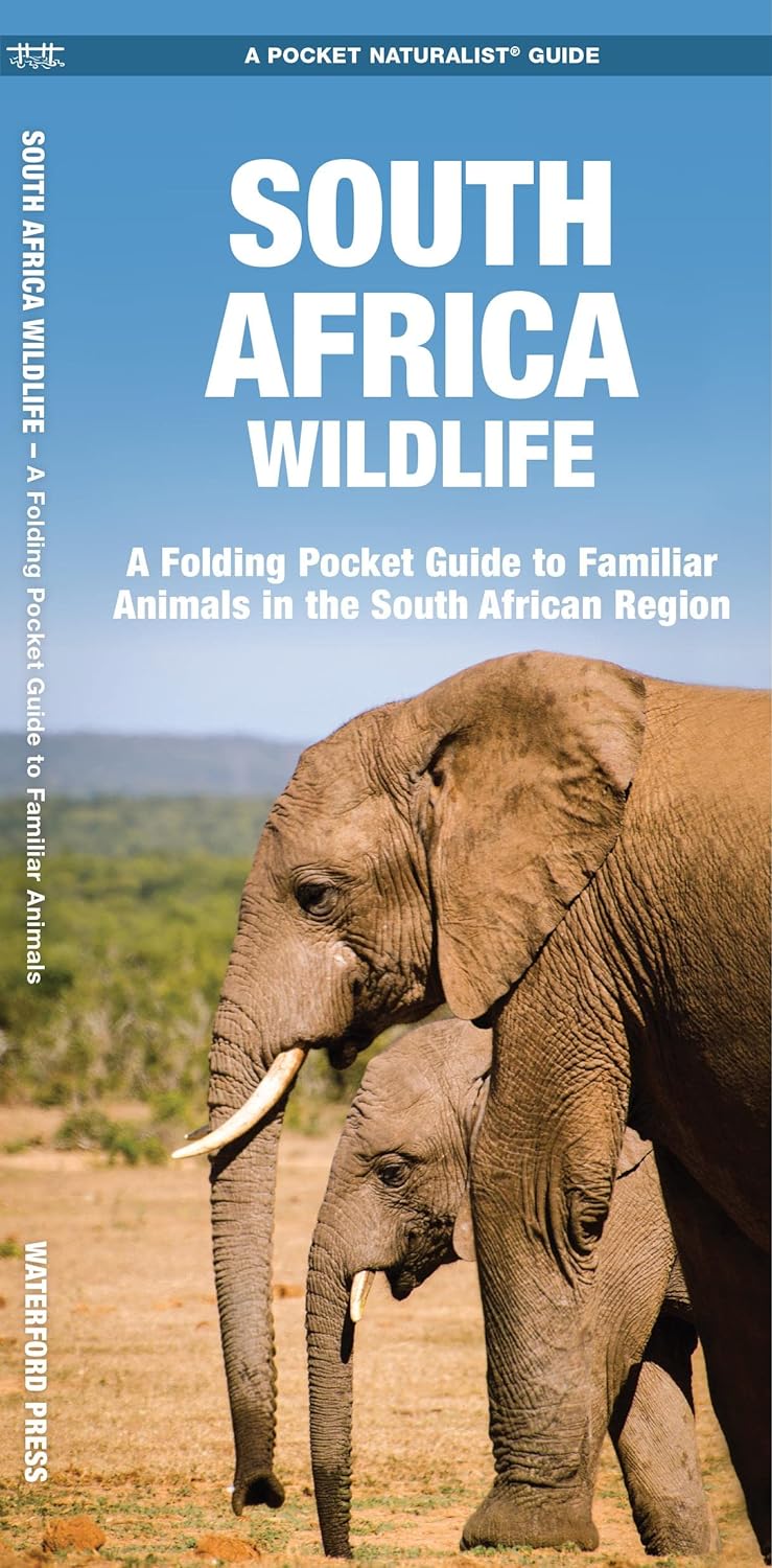 Online bestellen: Natuurgids South Africa Wildlife | Waterford Press