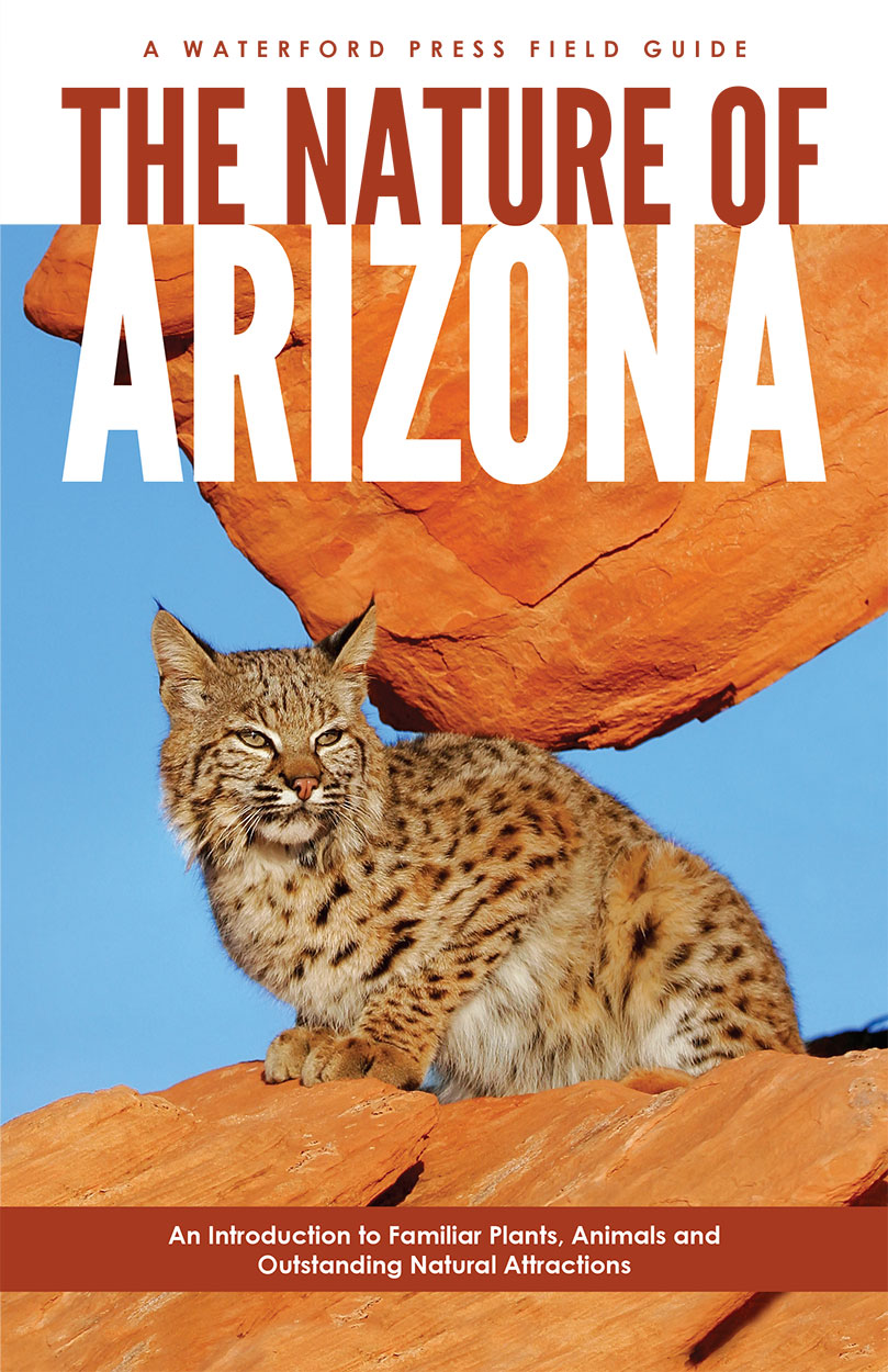 Zuiver wandelen Mainstream Natuurgids The Nature of Arizona | Waterford Press 9781583553008 kopen