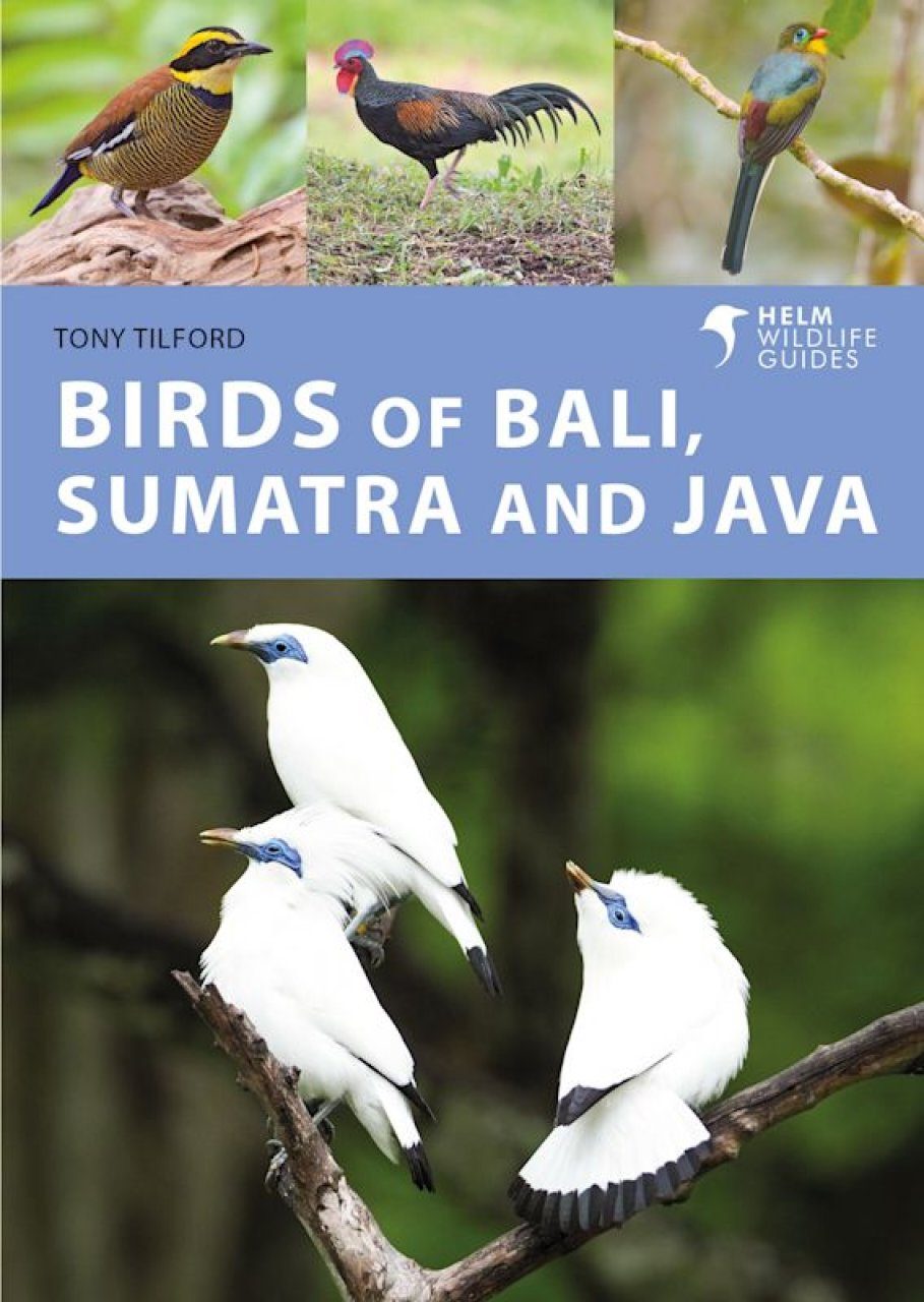 Online bestellen: Vogelgids Birds of Bali, Sumatra and Java | Bloomsbury