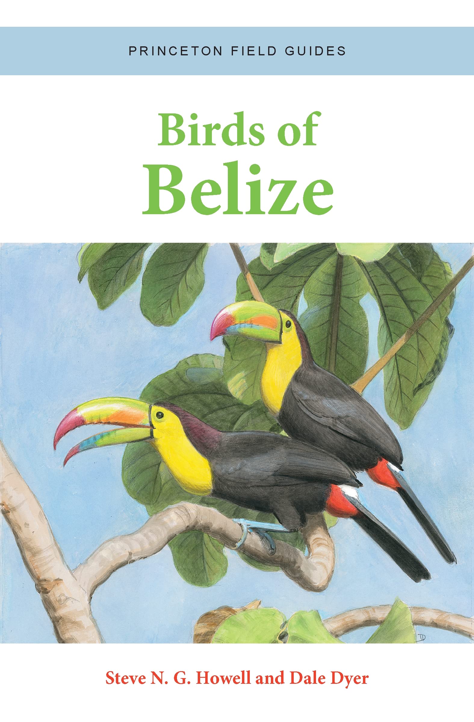 Online bestellen: Vogelgids Birds of Belize | Princeton University