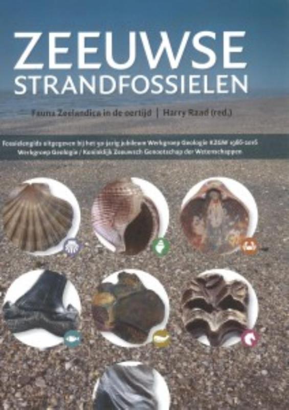 Natuurgids Zeeuwse strandfossielen | de Drvkkery Schrijverspodium de zwerver