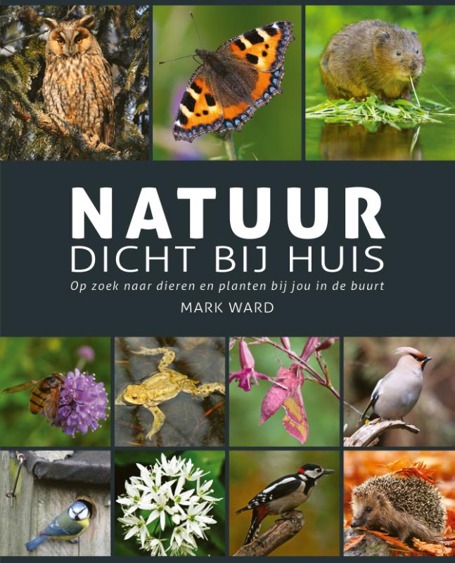 Online bestellen: Natuurgids Natuur dicht bij huis | Rebo Productions