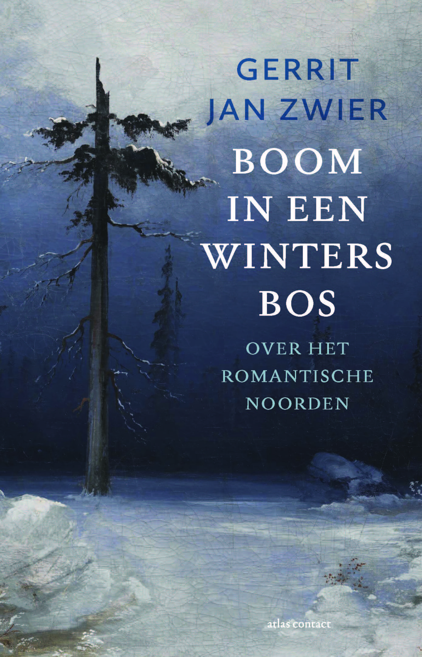 Online bestellen: Reisverhaal Boom in een winters bos | Gerrit Jan Zwier