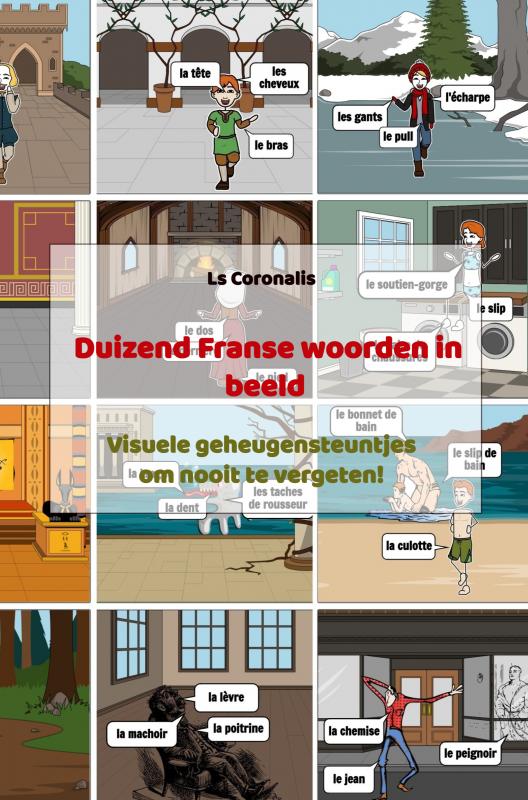 Online bestellen: Duizend Franse woorden in beeld | Brave New Books