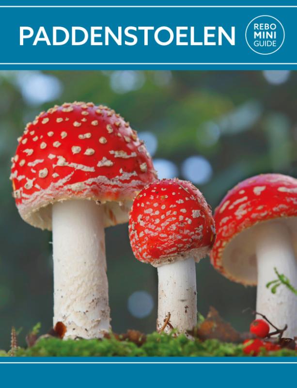 Natuurgids Paddenstoelen - Rebo min…
