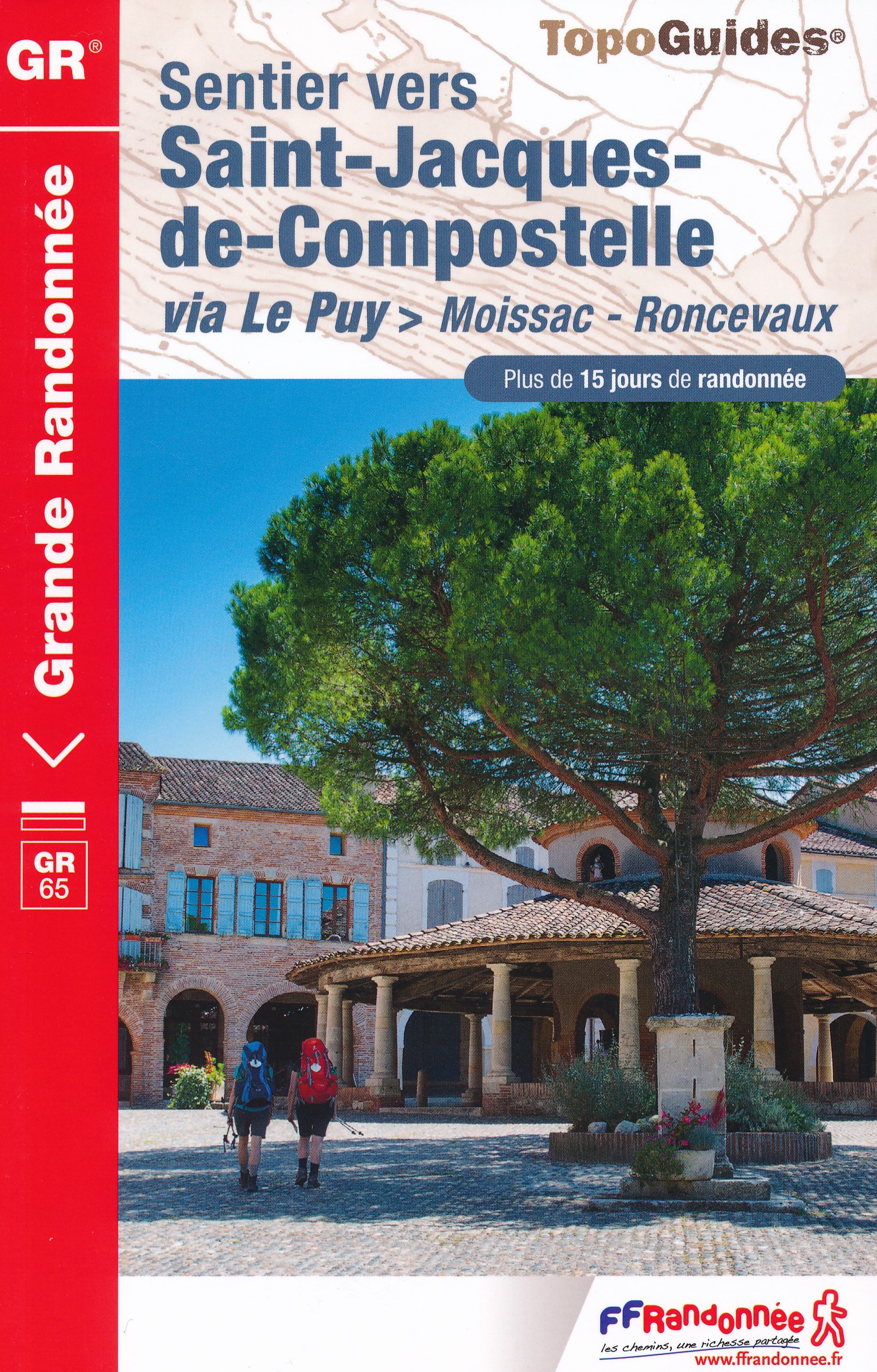 Online bestellen: Wandelgids 653 Sentier vers Saint-Jacques-de-Compostelle via Le Puy Moissac - Roncevaux GR65 | FFRP