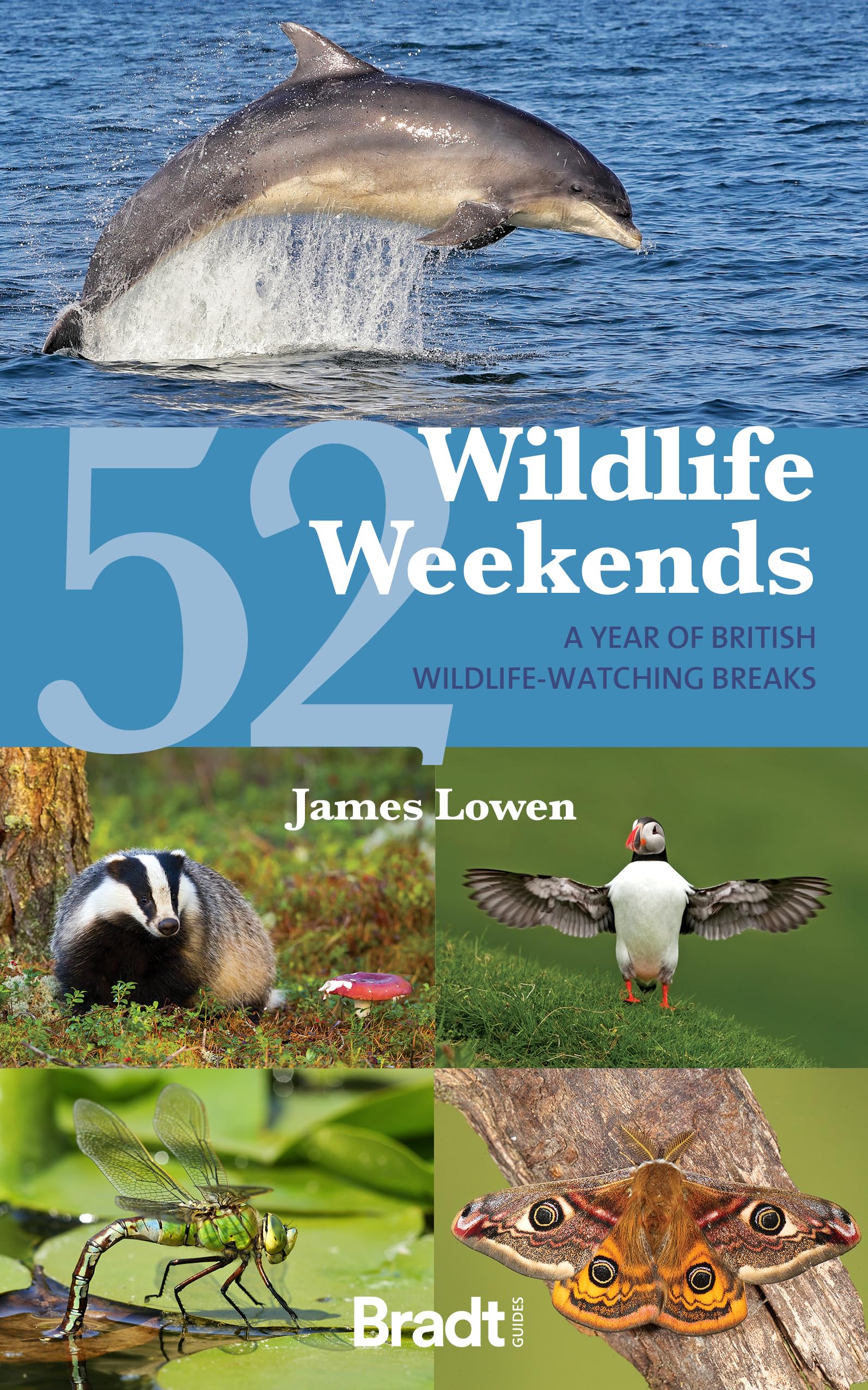 Online bestellen: Reisgids 52 Wildlife Weekends in Britain | Bradt Travel Guides