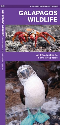 Online bestellen: Vogelgids - Natuurgids Galapagos Wildlife | Waterford Press