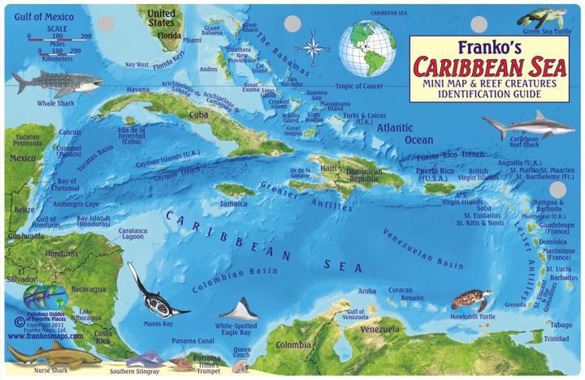 Online bestellen: Waterkaart Fish Card Caribbean Sea Dive Sites & Fish ID Card / Coral Reef Creatures | Franko Maps
