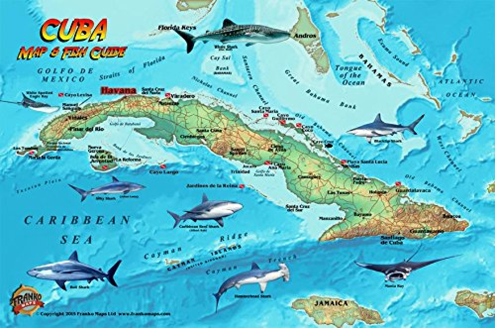 Online bestellen: Waterkaart Fish Card Cuba Sea Dive Sites & Fish ID Card / Coral Reef Creatures | Franko Maps