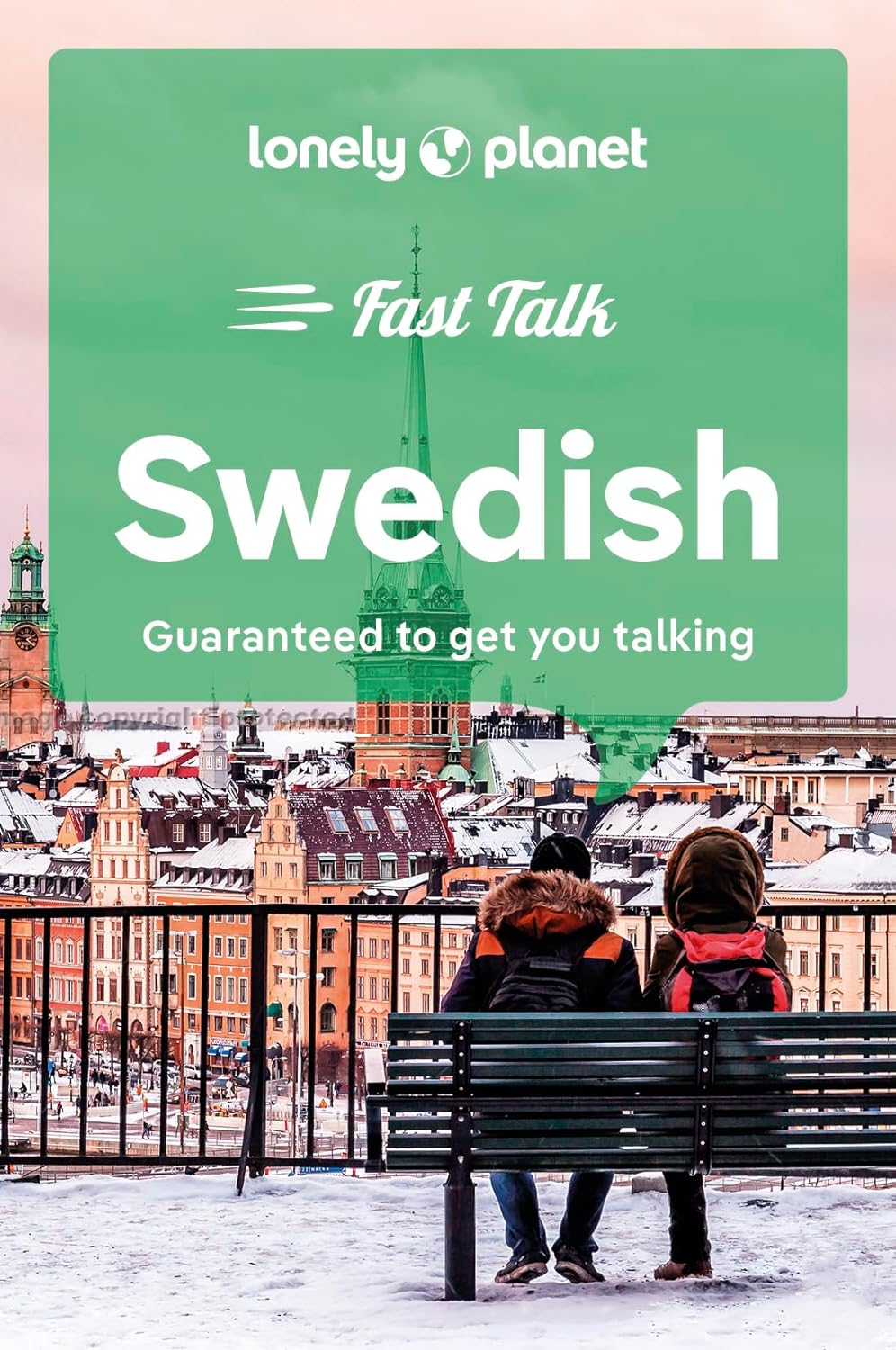 Online bestellen: Woordenboek Fast Talk Swedish | Lonely Planet