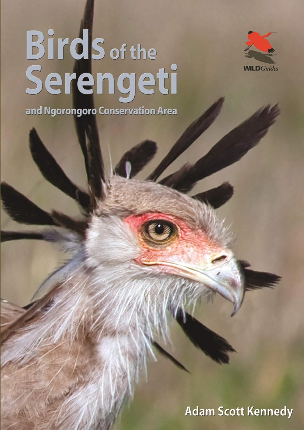 Online bestellen: Vogelgids Birds of the Serengeti | Princeton University