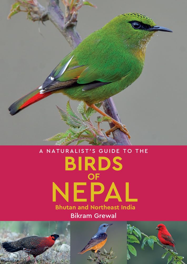 Online bestellen: Vogelgids a Naturalist's guide to the Birds of Nepal | John Beaufoy