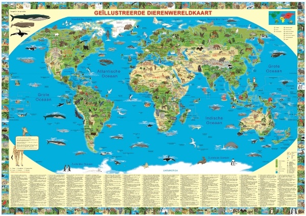 Kinderwereldkaart - Magneetbord Dierenwereldkaart 110 x 70 cm | Krüger