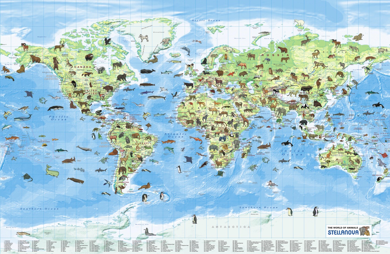 Kinderwereldkaart The world of Anim…