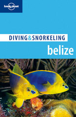 Duikgids Diving &amp; Snorkeling Belize | Lonely Planet | 