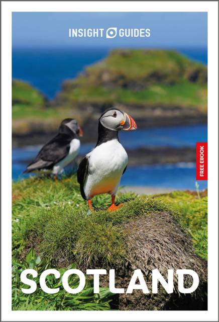 Reisgids Scotland | Insight Guides