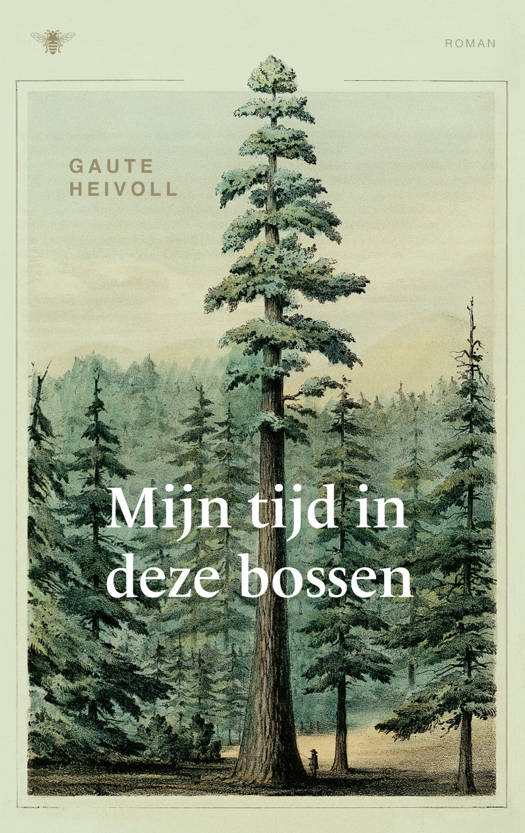 Reisverhaal Mijn tijd in deze bossen | De Bezige Bij