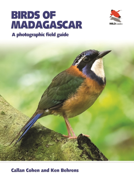 Vogelgids Birds of Madagascar | Princeton University Press