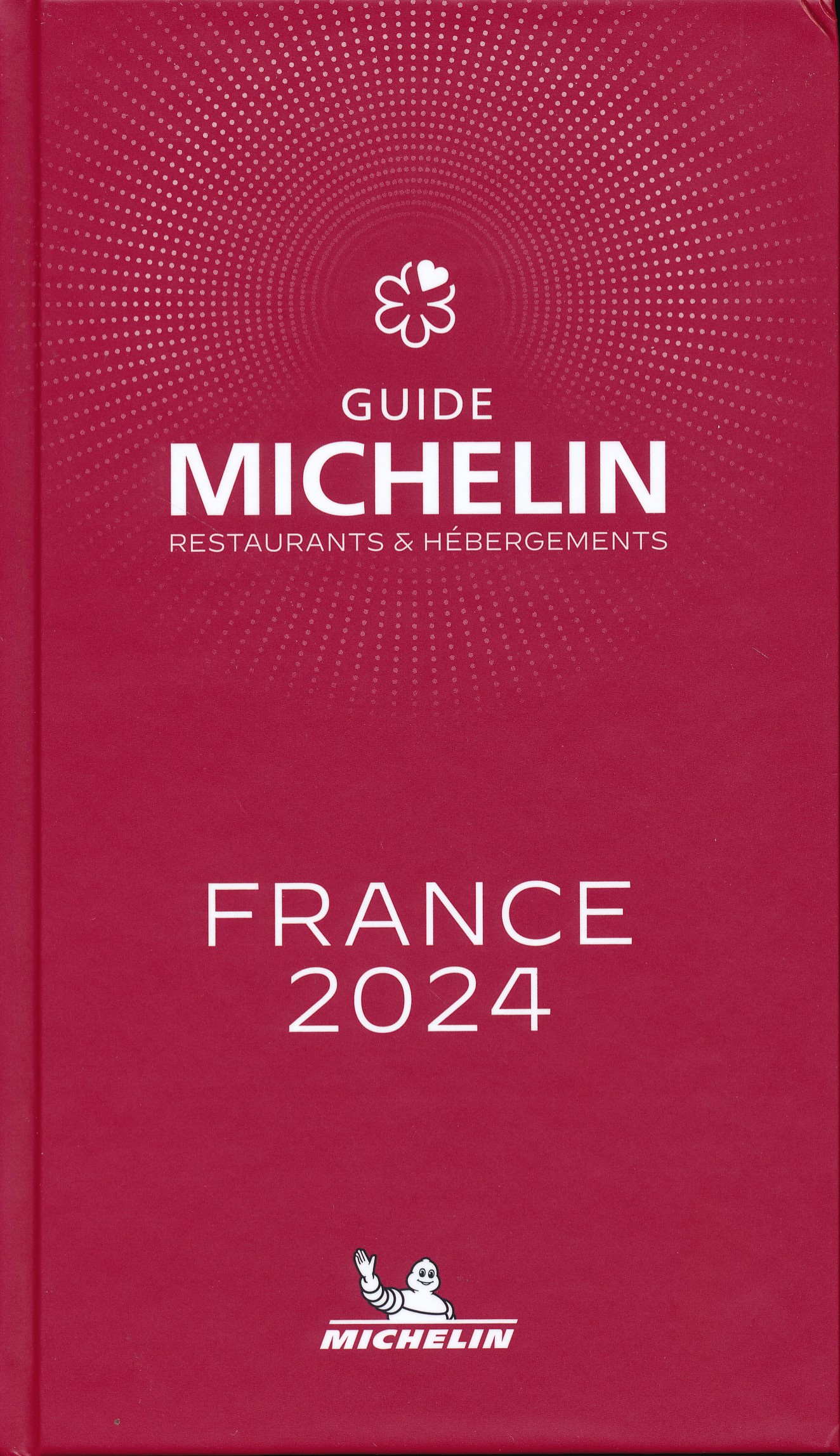 Online bestellen: Reisgids Rode gids Restaurantgids Hotelgids Frankrijk - France 2024 | Michelin