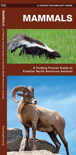 Online bestellen: Natuurgids Mammals : An Introduction to Familiar North American Species | Waterford Press