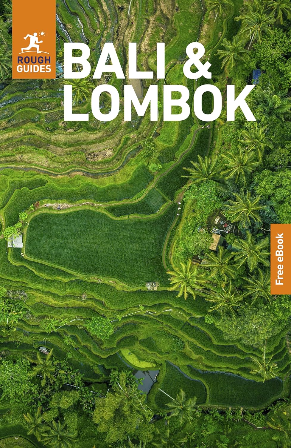 Reisgids Bali - Lombok | Rough Guides