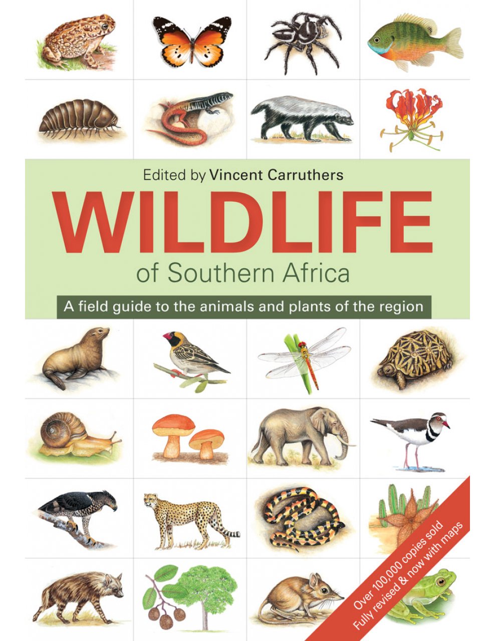 Online bestellen: Natuurgids The wildlife of southern Africa | Struik Nature