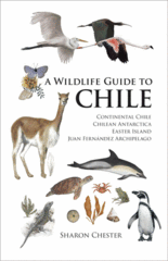 Online bestellen: Natuurgids A Wildlife Guide to Chile | Princeton University