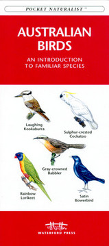 Natuurgids - Vogelgids Australian Birds ( Australië ) | Waterford Press |