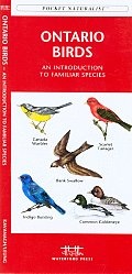 Online bestellen: Vogelgids - Natuurgids Ontario Birds | Waterford Press