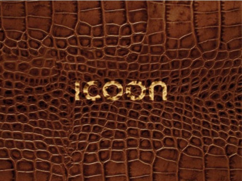 Aanwijswoordenboek - Woordenboek ICOON Croco Global Picuture Dictionar