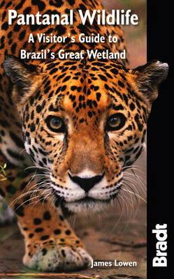 Online bestellen: Reisgids Pantanal Wildlife | Bradt Travel Guides